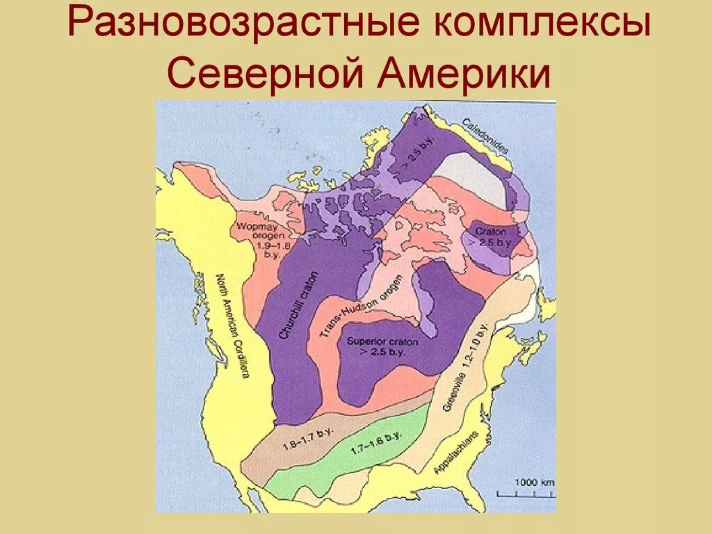 Тектоническая карта Северной Америки. Геология Северной Америки карта. Тектоническое строение Северной Америки карта. Геологическое строение Северной Америки. Древняя платформа северной америки форма рельефа