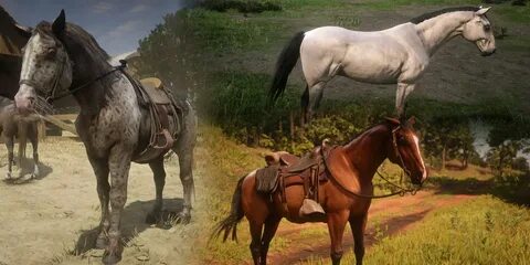Red redemption 2 лошади
