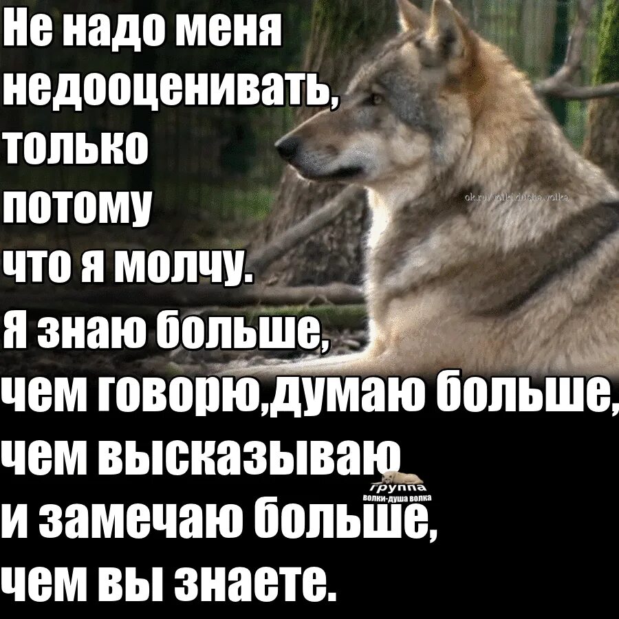 Правду ли дают. Не надо меня недооценивать. Я всё знаю просто молчу. Я всё знаю просто малчу. Если человек молчит.