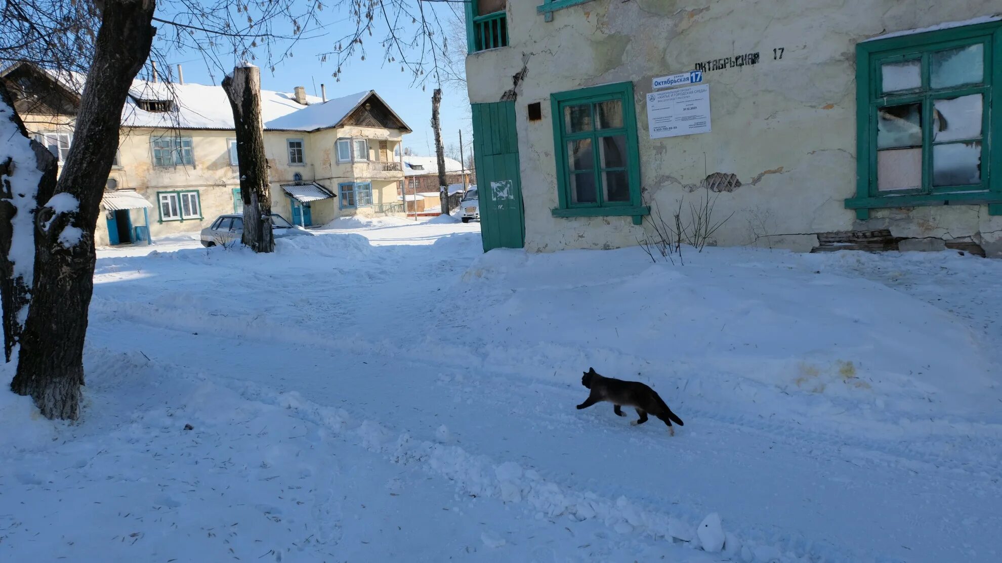 Лосиная улица. Посёлок Лосиный Свердловская область. Посёлок Лосиный Свердловская область Березовский район. Школа поселок Лосиный Березовский. Детский дом поселок Лосиный Свердловская область.