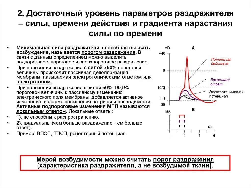 Соотношение порога раздражения и возбудимости. Электротонический потенциал и потенциал действия физиология. Пороги раздражения возбудимых тканей. Локальный потенциал действия.