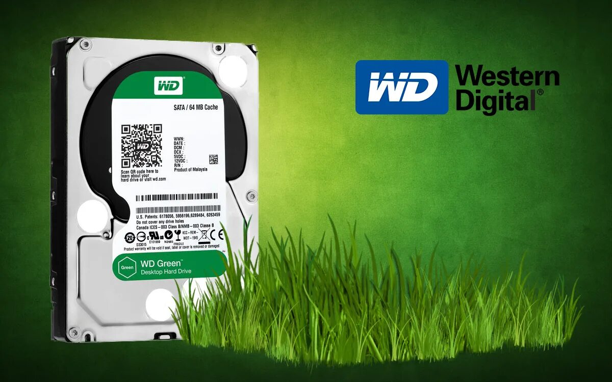 Wd 2 plus обзор