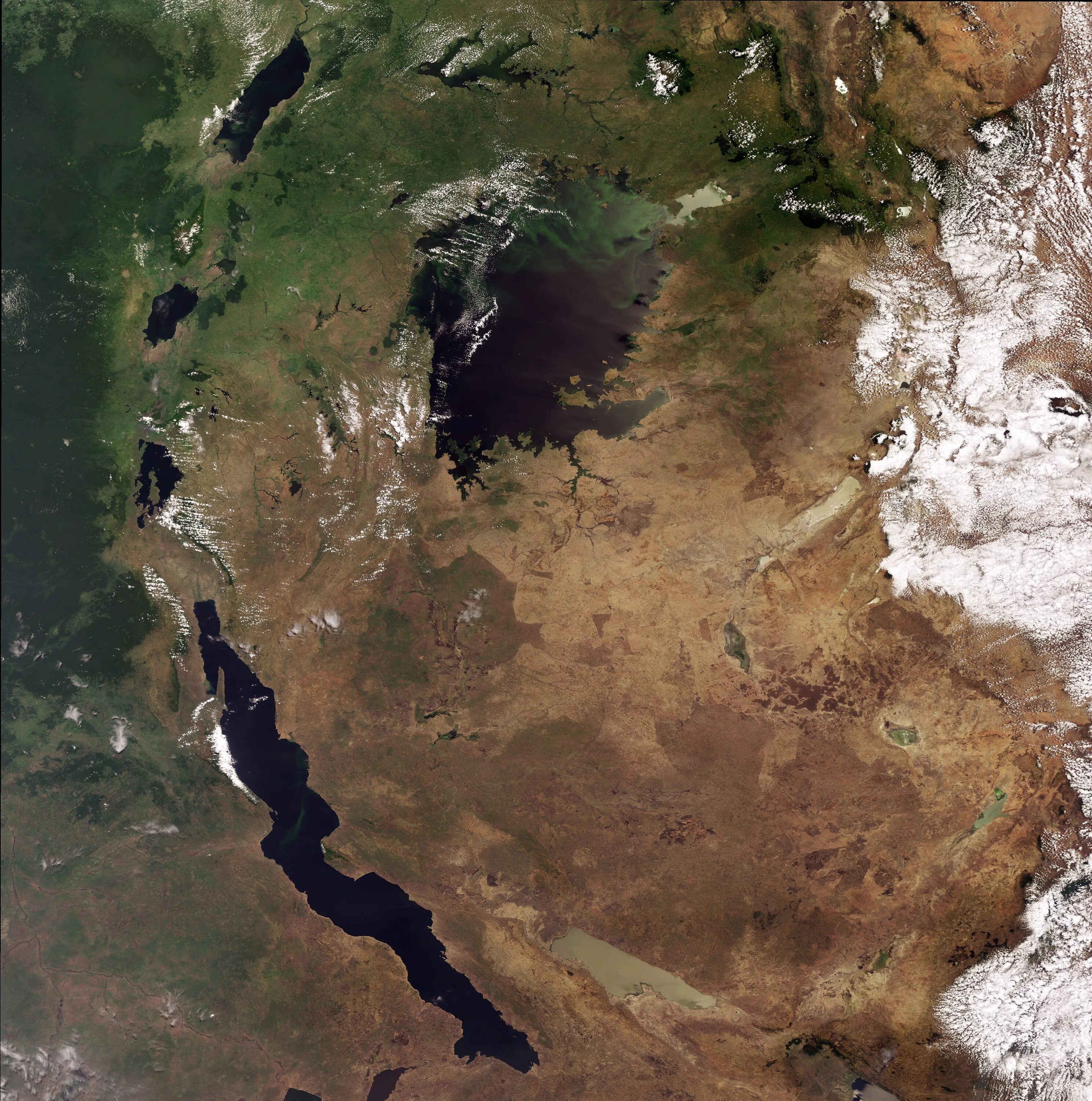 Почему все глубокие озера в восточной африке. Озеро Танганьика в Африке. Озеро Танганьика из космоса. Озеро Танганьика космический снимок. Великая рифтовая Долина Африканский разлом.