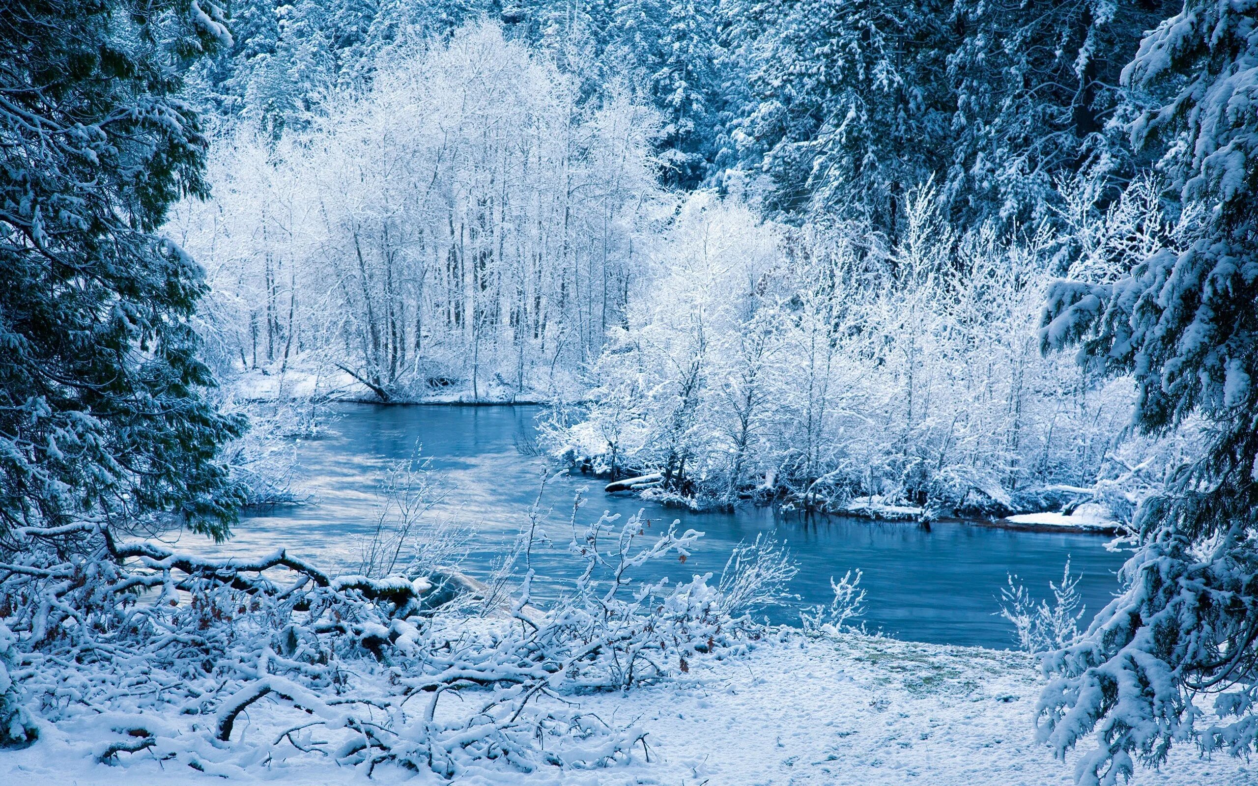 Красивая зима. Зимний пейзаж. Зимняя природа. Зимний лес. Звуки природы зимой