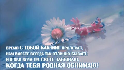 День как миг