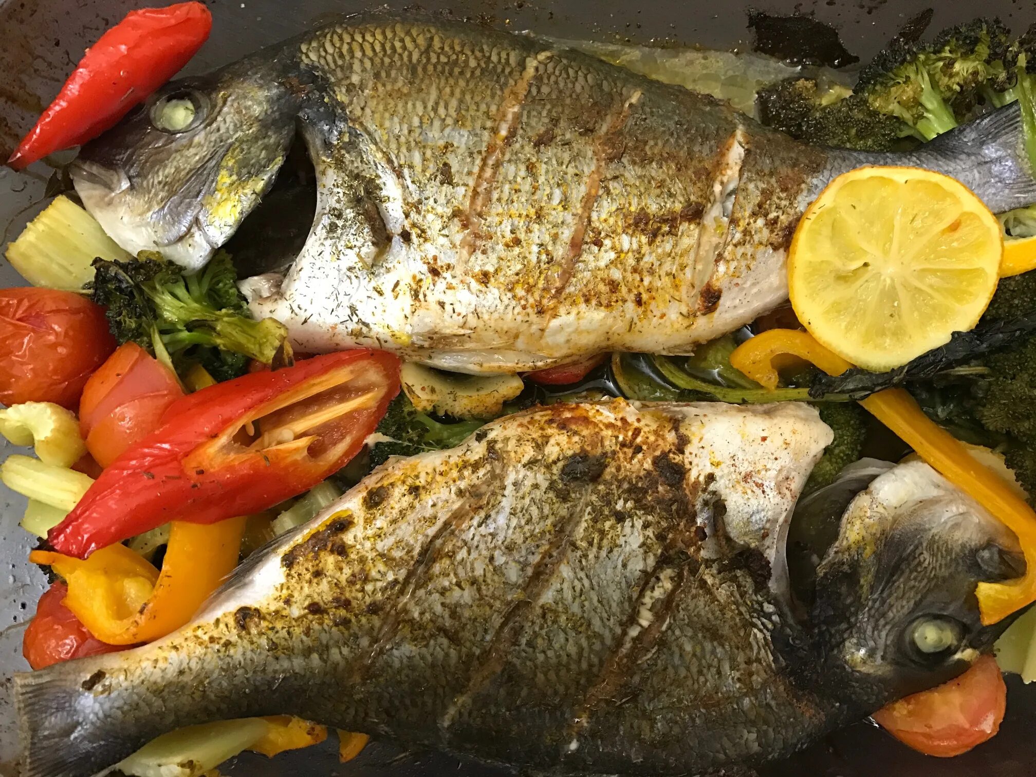 Море вкусного рыба. Дорадо рыба. рыба дорадо дорадо. дорадо турция рыба. рыба дорада или дорадо.