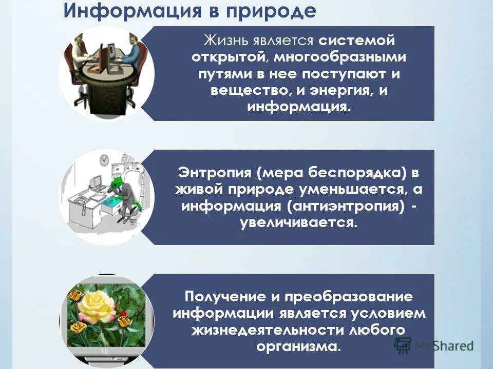 Энергия информации открытых систем. Щей среддой. Поток информации в клетке. Порядок и беспорядок направленность реальных процессов в природе. Информация в живой природе.