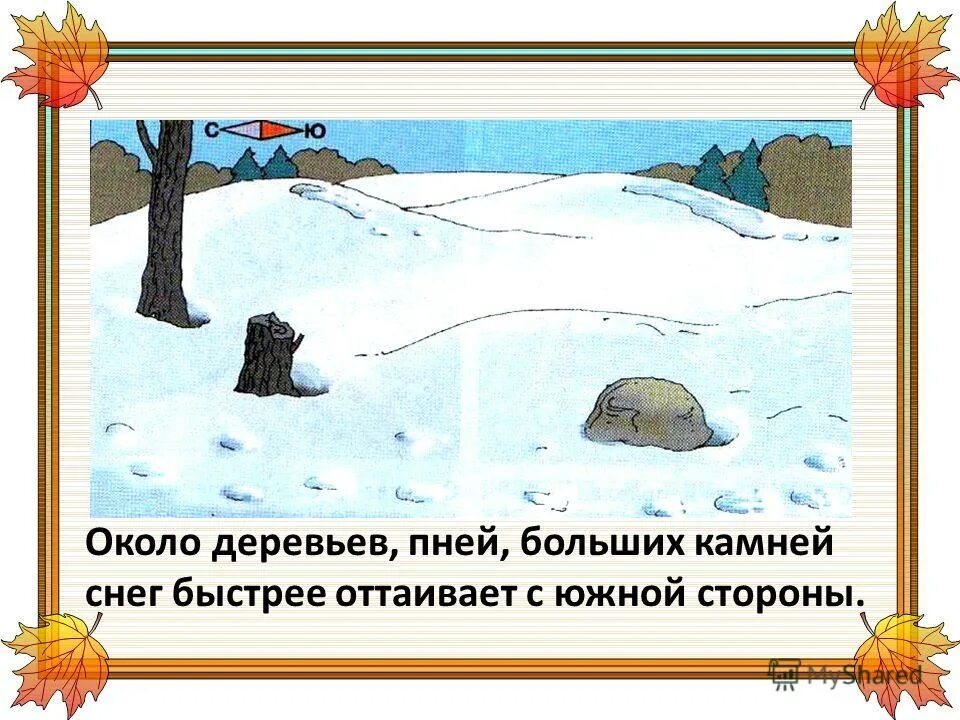 Таяние снега с южной стороны. Ориентирование по таянию снега. С какой стороны склона снег тает быстрее. Ориентирование по таянию снега. Склоны гор растаял снег.