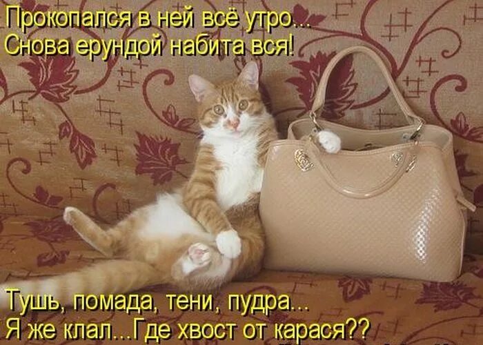 Цитаты чтобы не грустить. Слова песни. Песня никогда не грусти если даже беда. Я ненавижу когда люди путают. Песни слова песни.