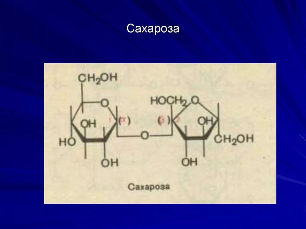 Экзамен сахарозы геншин импакт. Сахароза Геншин. Сахароза Genshin Impact. 1.2 Сахароза Геншин. Геншин сахароза Геншин.