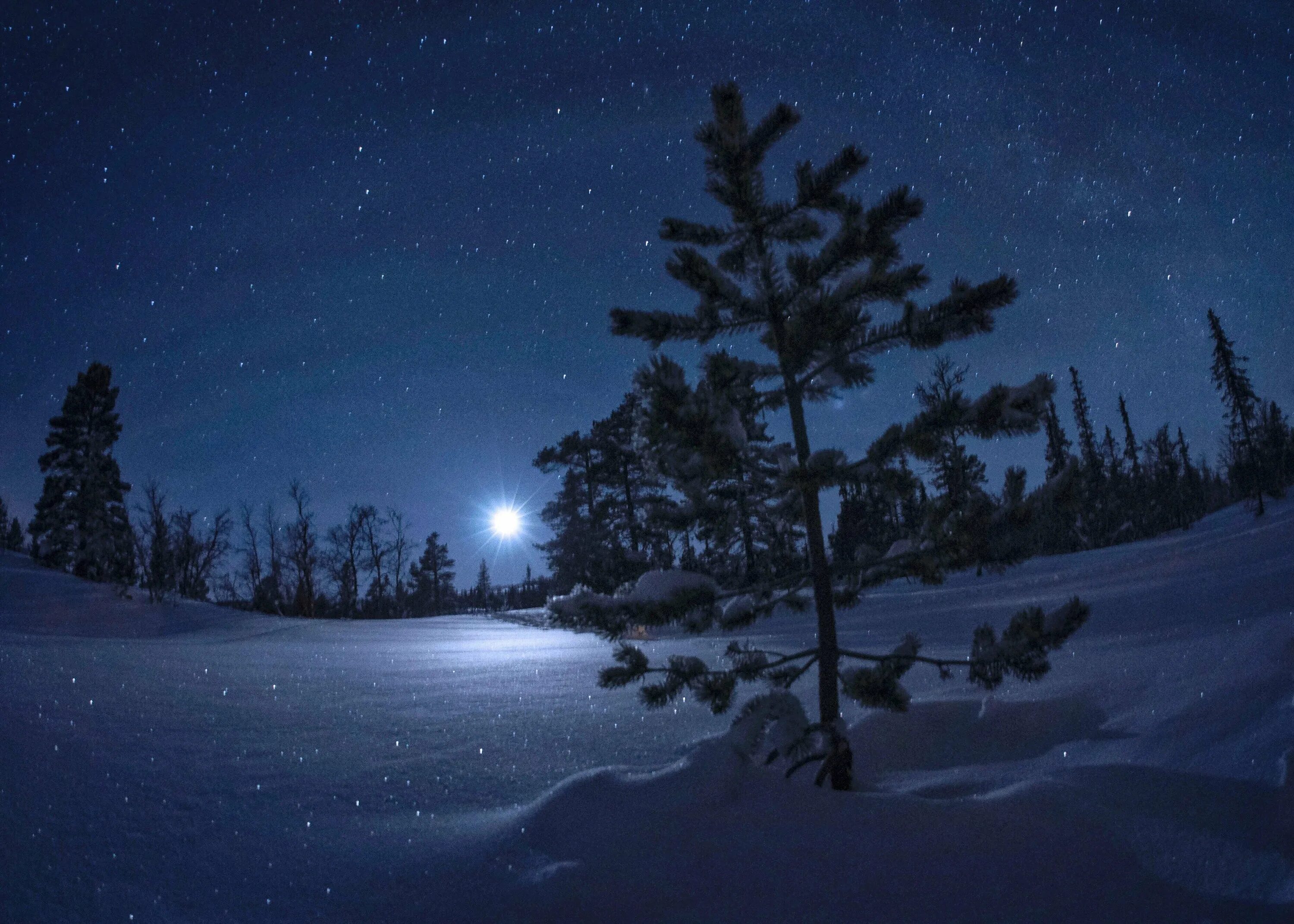 Картинки снега ночь. Зима ночь. Зимний ночной пейзаж. Ночь зимой. Зимний пейзаж ночью.
