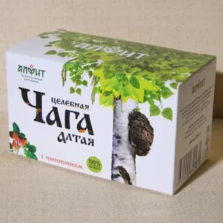 Чага с шиповником