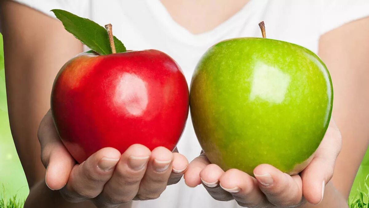 Игры 2 яблока. Яблоко. Яблоко в руке. Два яблока. Два разных яблока в руках.