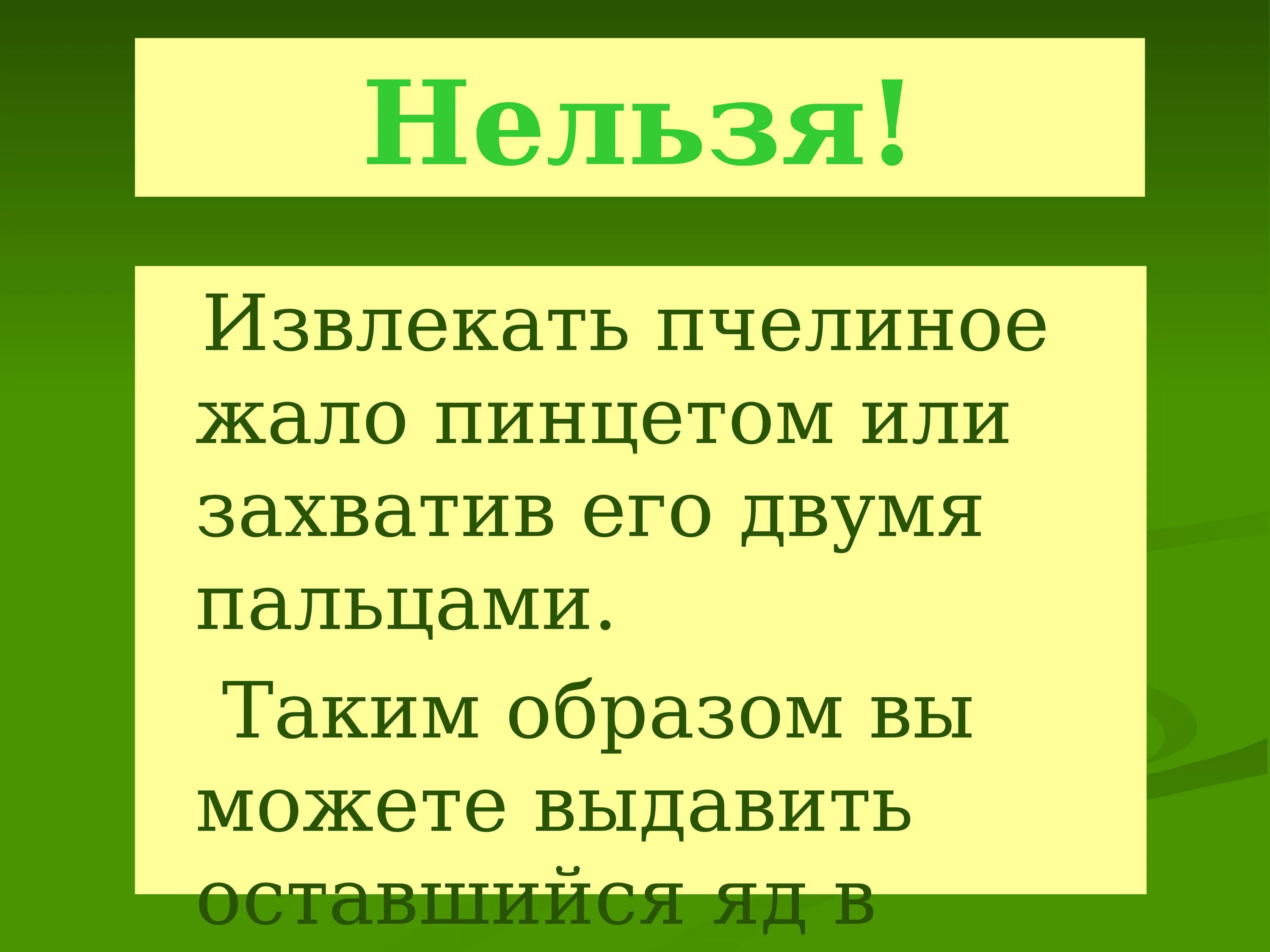 Практикум на тему первая помощь при укусе насекомых. Алгоритм вытаскивания жала пчелы. Почему нельзя достать