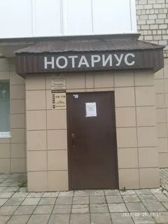 Нотариусы березники адреса и телефоны