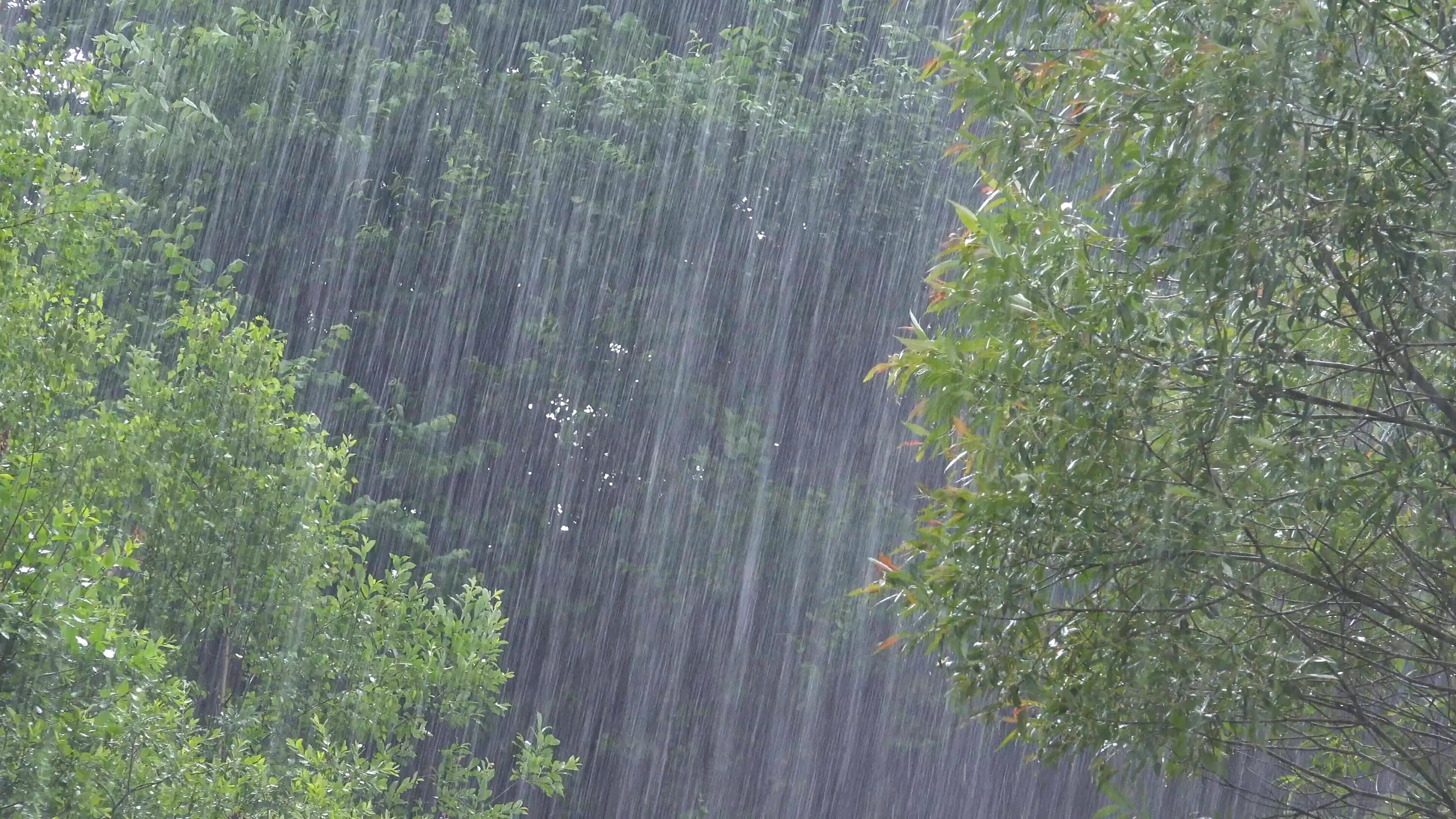 н н некрасов перед дождем. дождь. дожди омывают. дожди омывают. ливень.