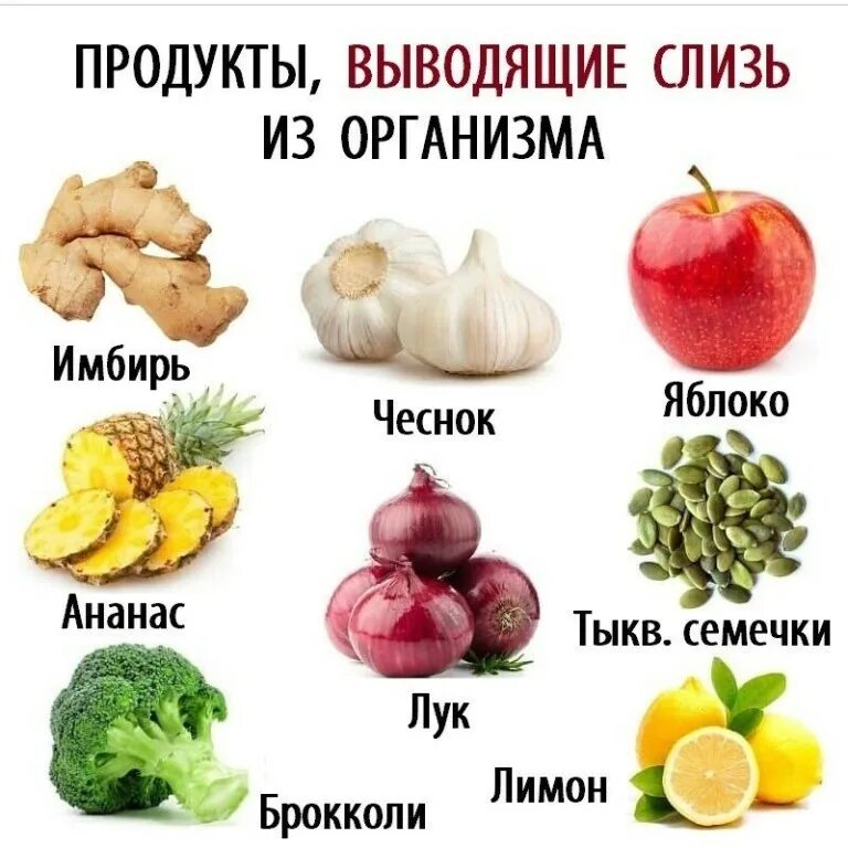 Слизь в организме причины. Продукты для выведения мокроты. Продукты для выведения слизи. Продукты выводящие слизь. Выведение слизи из организма.