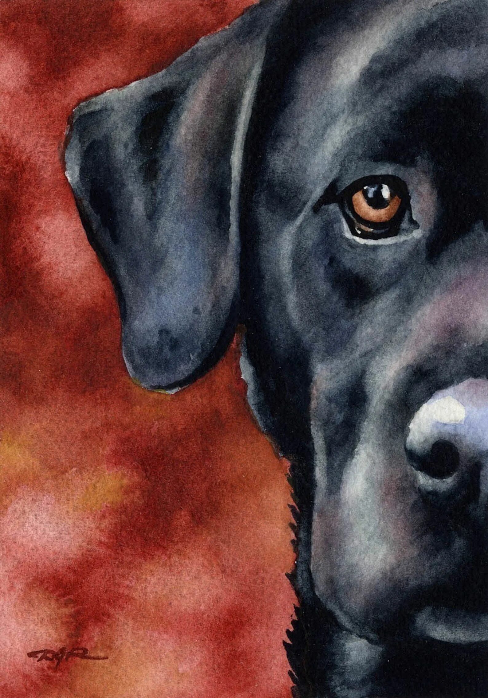 Painted dogs. Черный лабрадор акварель. Черный лабрадор портрет. Собака рисунок. Лабрадор арт.