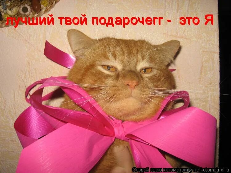 Проще пареной репы происхождение фразеологизма. Слабохарактерный мужчина изменяет. Принарядился. Словарь фразеологизмов. Одежда лучше новая а друг старый.