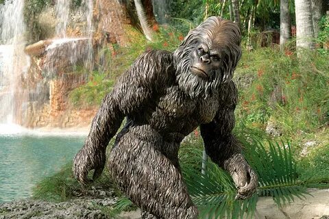 Big foot