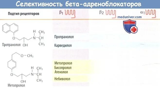 Бета адреноблокаторы тест. Селективность бета блокаторов. Кардиоселективные бета-адреноблокаторы. Карведилол селективность. Карведилол формула.