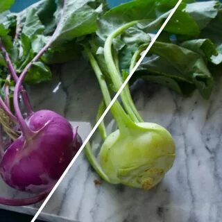 Капуста кольраби как сажать