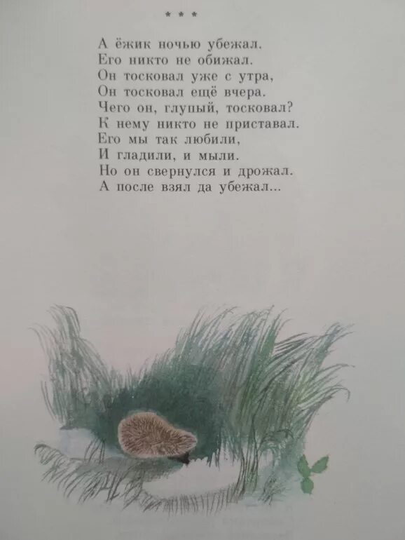 Ежик убежал. Стих а Ежик ночью убежал. А Ежик ночью убежал. А Ежик ночью убежал его никто не обижал. Стих а Ежик ночью убежал текст.