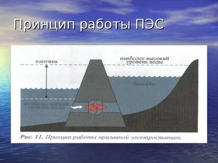 ЛЛ, принцип их работы и балласты для них. Страница 27 (Освещение в аквариуме)