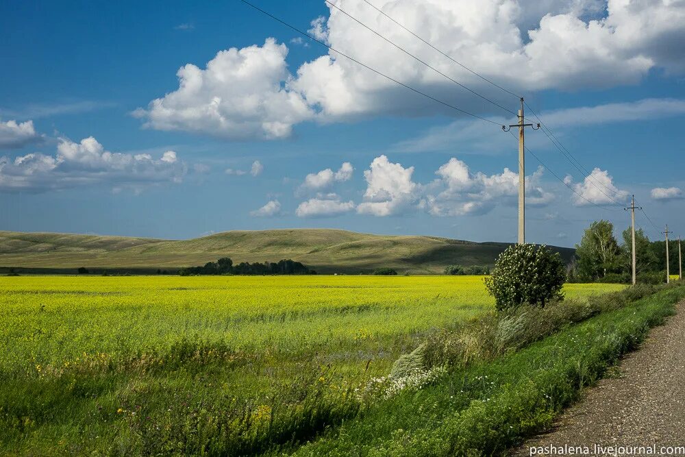 Оренбуржье фото. Степь Оренбургская Кувандык. Оренбургские горы Кувандыкский район. Новотроицк степи. Поселок Урал Кувандыкский район.