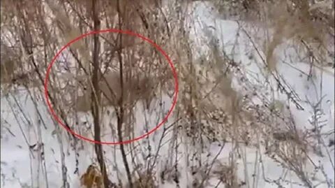 Увиденное неизвестное