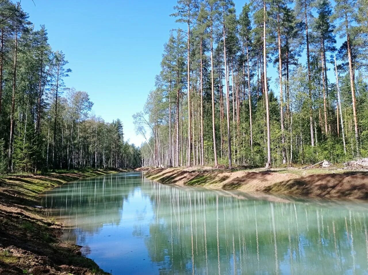 база отдыха виладж рощино. Forest village коттеджный поселок. коттеджный поселок алабуха. форест виладж коттеджный поселок. кп форест виладж дмитровский район.
