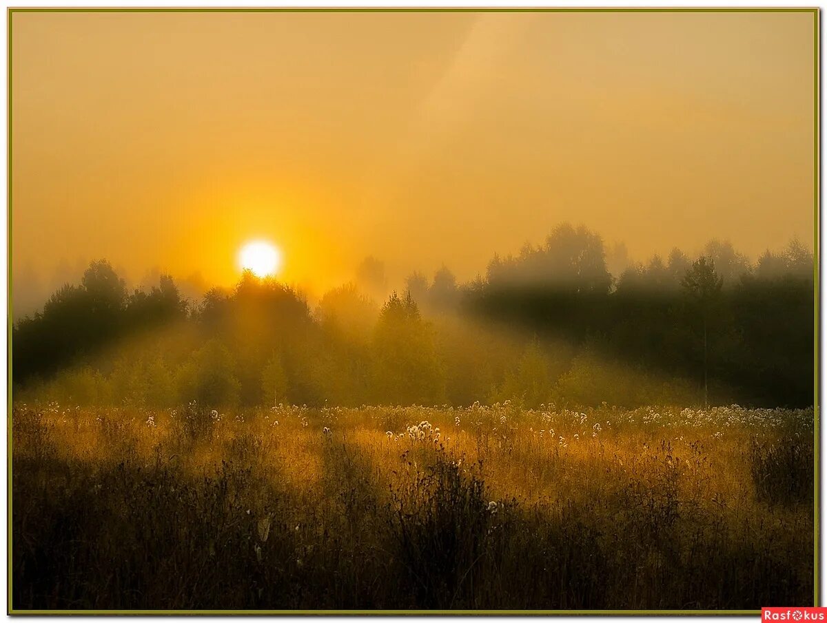 Утро облик. Утренний рассвет. Рассвет туман. Рассвет туман. Утренний пейзаж.