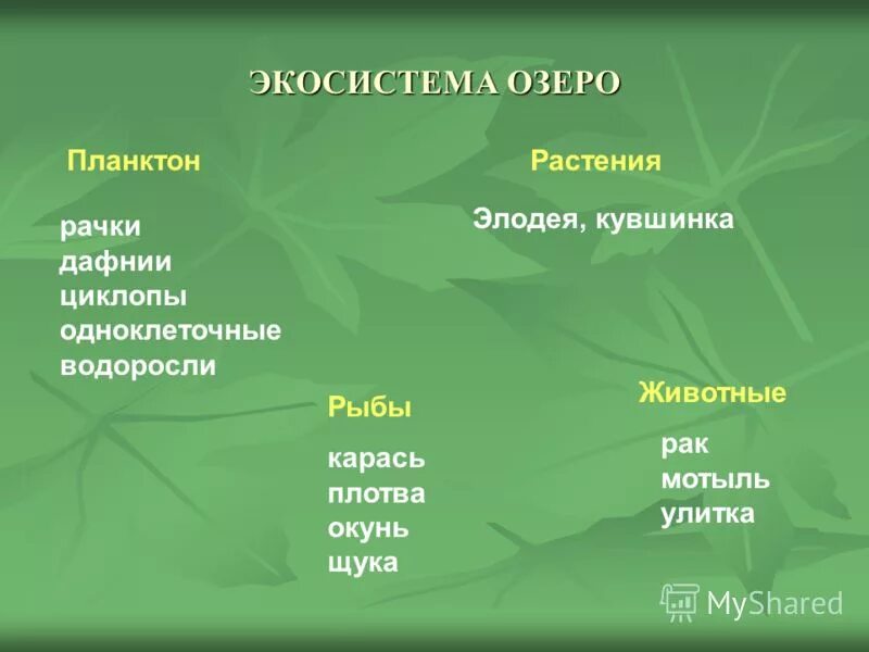 Экосистема озера презентация. Обитатели экосистемы озера. Экосистема озера. Характеристика экосистемы озера. Экосистема экосистема озера.