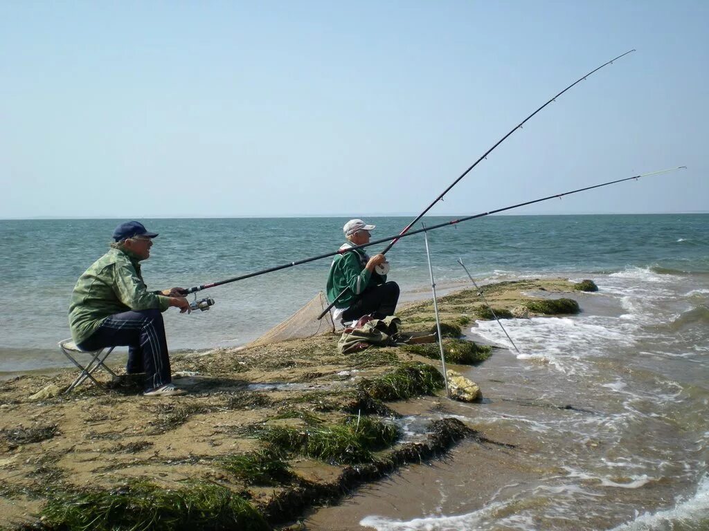 Что ловят на берегу черного моря