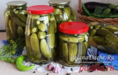 Огурцы маринованные хрустящие как в магазине