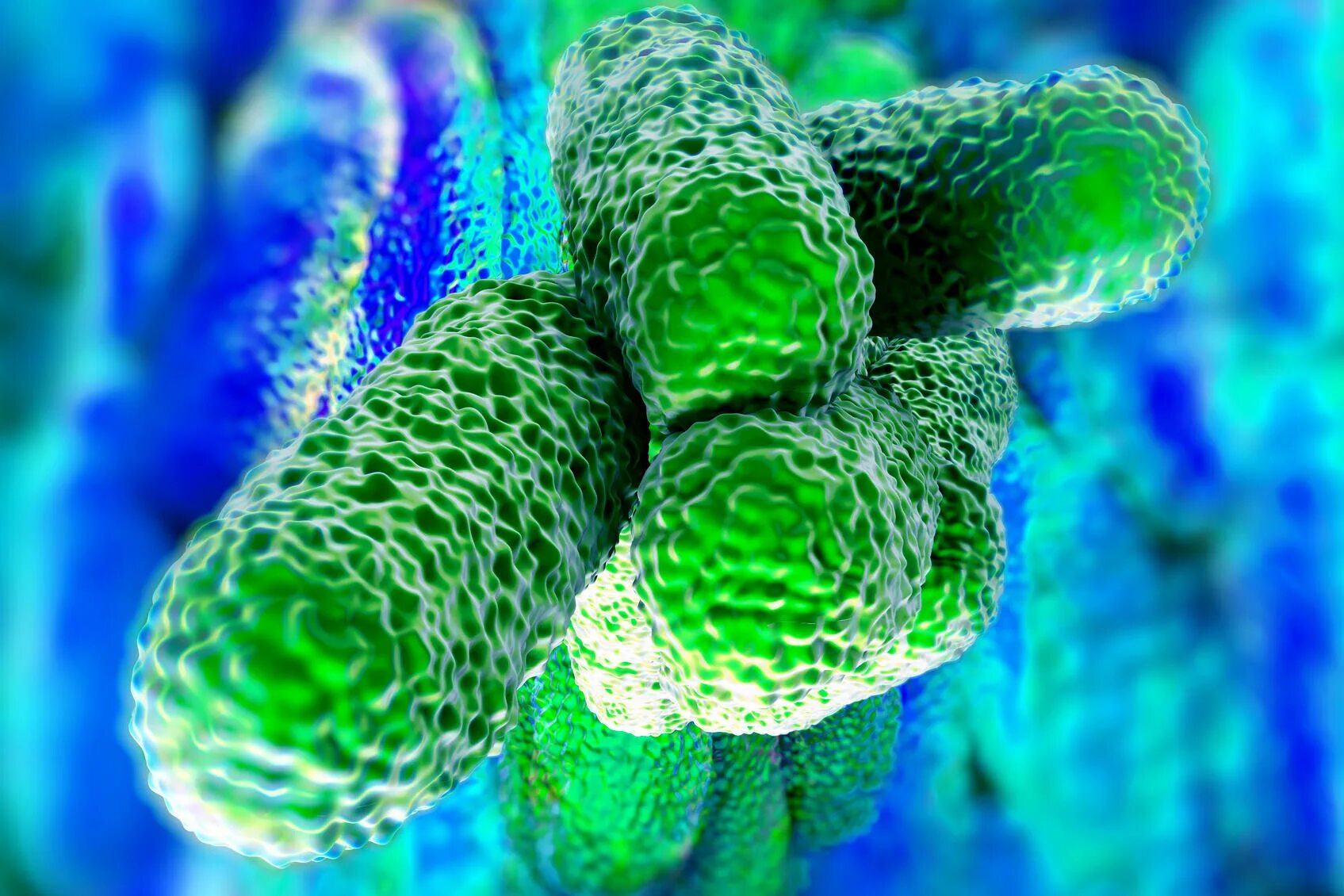 Бактерия легионелла. Легионелла. Легионелла. Легионелла пневмофила. Легионелла пневмофила микробиология.