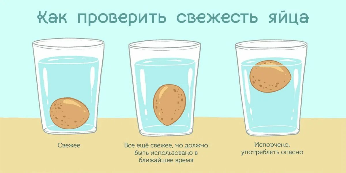 Сколько срок у яиц. Срок годности яиц. срок хранения яиц. срок хранения куриных яиц. срок годности яиц куриных.