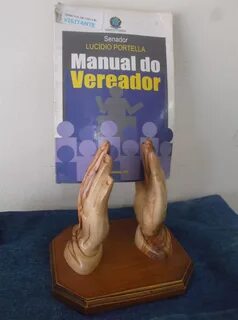 Manual do Vereador (Senado Federal do Brasil).JPG 