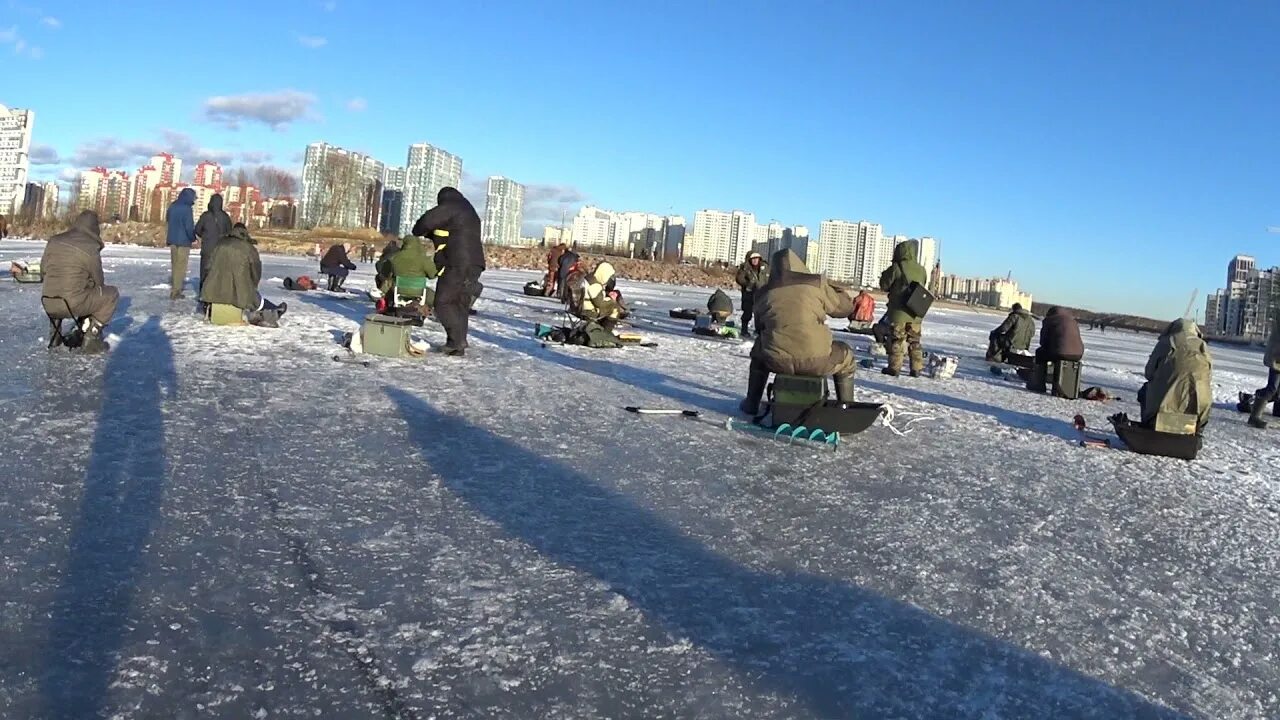 Погода в спб рыбацкое. Зимняя рыбалка в Питере. Рыбалка в Стрельне на финском. Зима в Рыбацком СПБ. СПБ рыбаки на заливе зимой Балтийский бульвар.