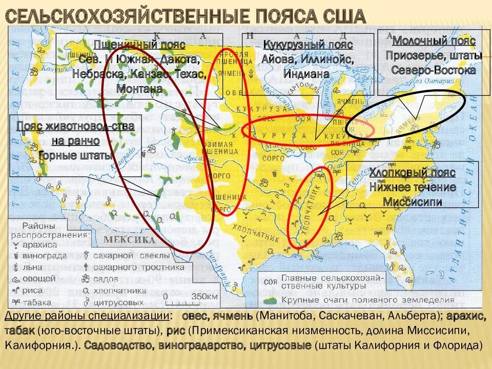 Пояса сша кукурузный молочный пшеничный. Хлопковый пояс сша. Агропромышленные пояса сша. Хлопковый пояс сша. Сельскохозяйственные пояса сша.