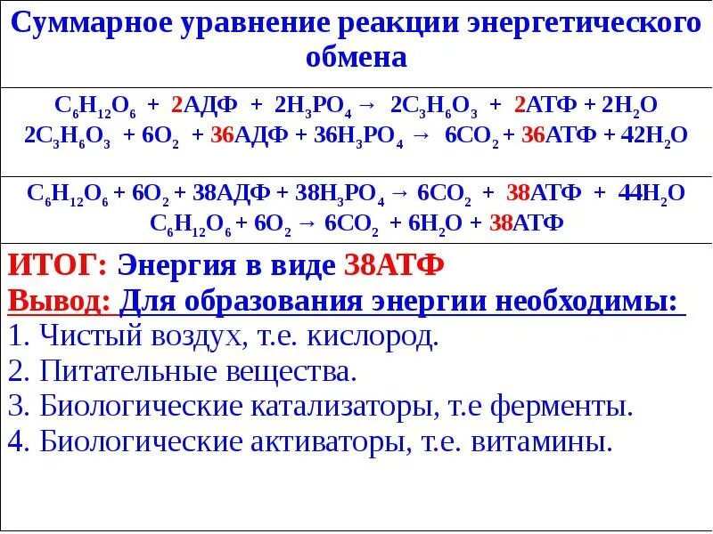 Подготовительный этап энергетического обмена схема. Суммарная реакция энергетического обмена. Энергетический обмен веществ этапы. Энергетический обмен схема ЕГЭ