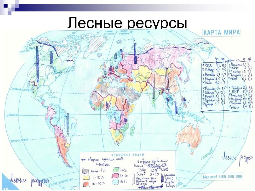 Регионы россии богатые лесными ресурсами