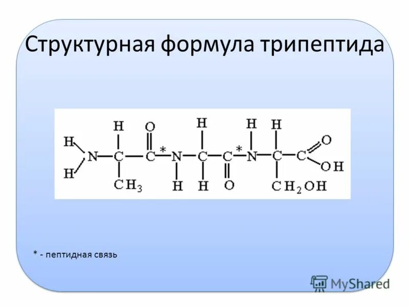 Ала фен лей вал. Строение пептидной связи ,структурные формулы пептидов. Общая формула трипептидов. Трипептид структурная формула. Трипептиды структурная формула.