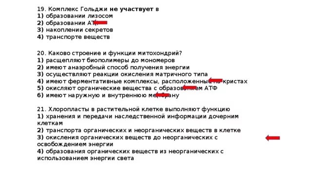 Расщепление биополимеров органоиды. Расщепление биополимеров органоиды