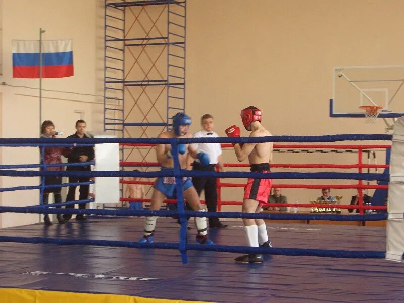 кикбоксинг нижегородская. кикбоксинг нижний новгород нижегородский район. нижегородская федерация кикбоксинга. сазонов михаил юрьевич кикбоксинг. чекатов олег нижний новгород кикбоксинг.