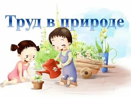 Презентация труд в доу