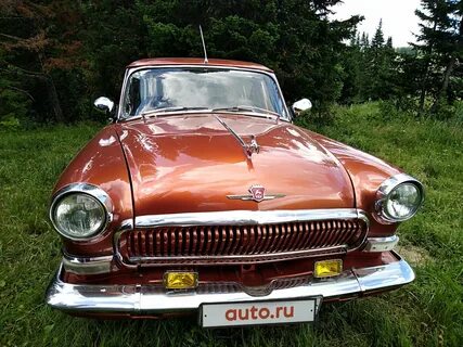 Волга с оленем на капоте