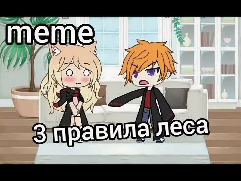 Правило леса никому не доверять. Первое правило леса. Правило леса мем. Первое правило никому не доверяй мем. Первое правило леса никому не доверять.