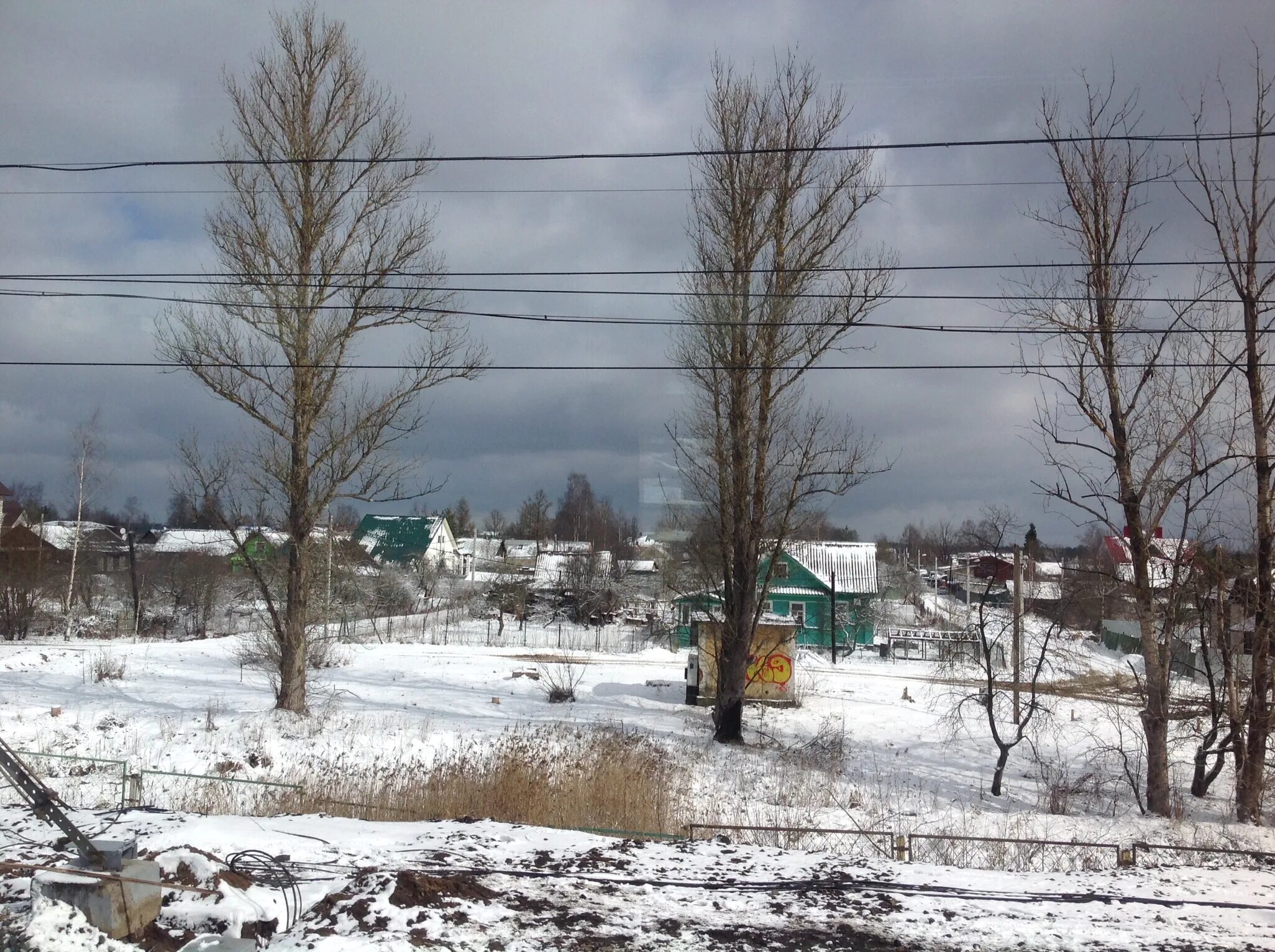 Прогноз тайцы. Тайцы поселка Тайцы Тайцы. Тайцы Весеннее солнце городок. Живут ли Тайцы в России. Тайцы 27 км.