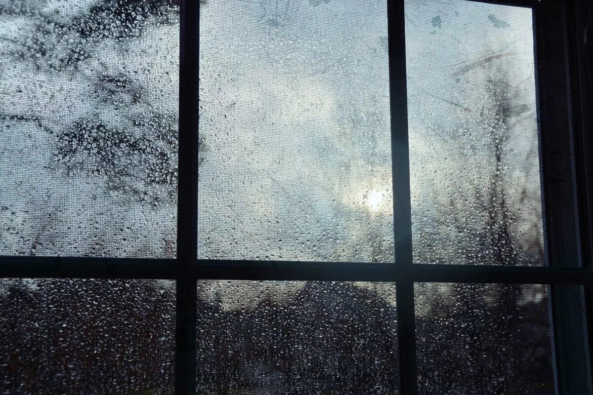 Дождь в окне. Дождь за окном. Пасмурно за окном. Вид из окна дождь.